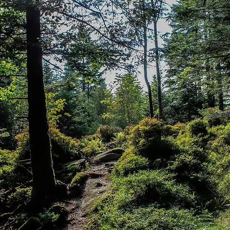 L'atypique Vosgien *