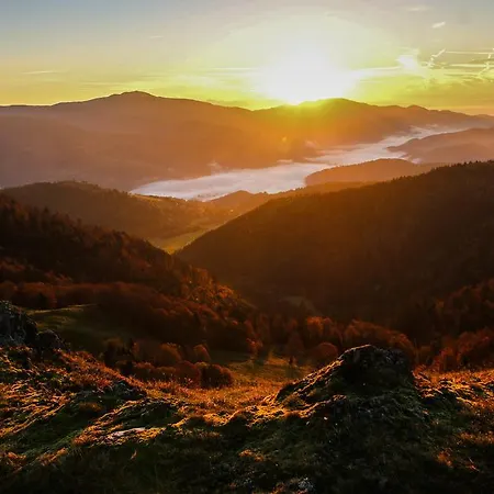 L'atypique Vosgien * Bussang