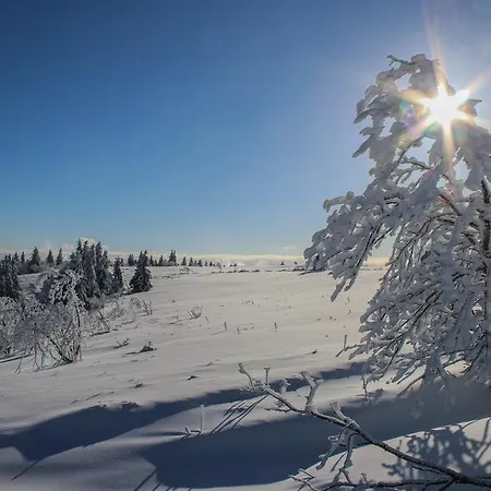 L'atypique Vosgien * Bussang
