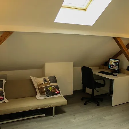 L'atypique Vosgien Appartement