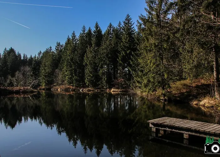 L'atypique Vosgien 比桑