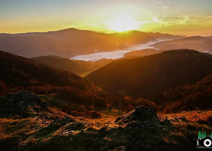 L'atypique Vosgien * Bussang