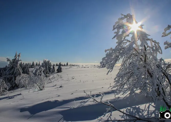 L'atypique Vosgien * 比桑