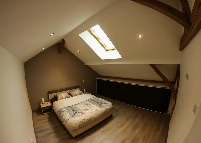 公寓 L'atypique Vosgien *